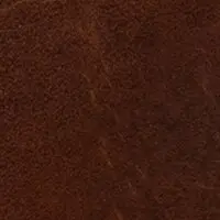 Bruin