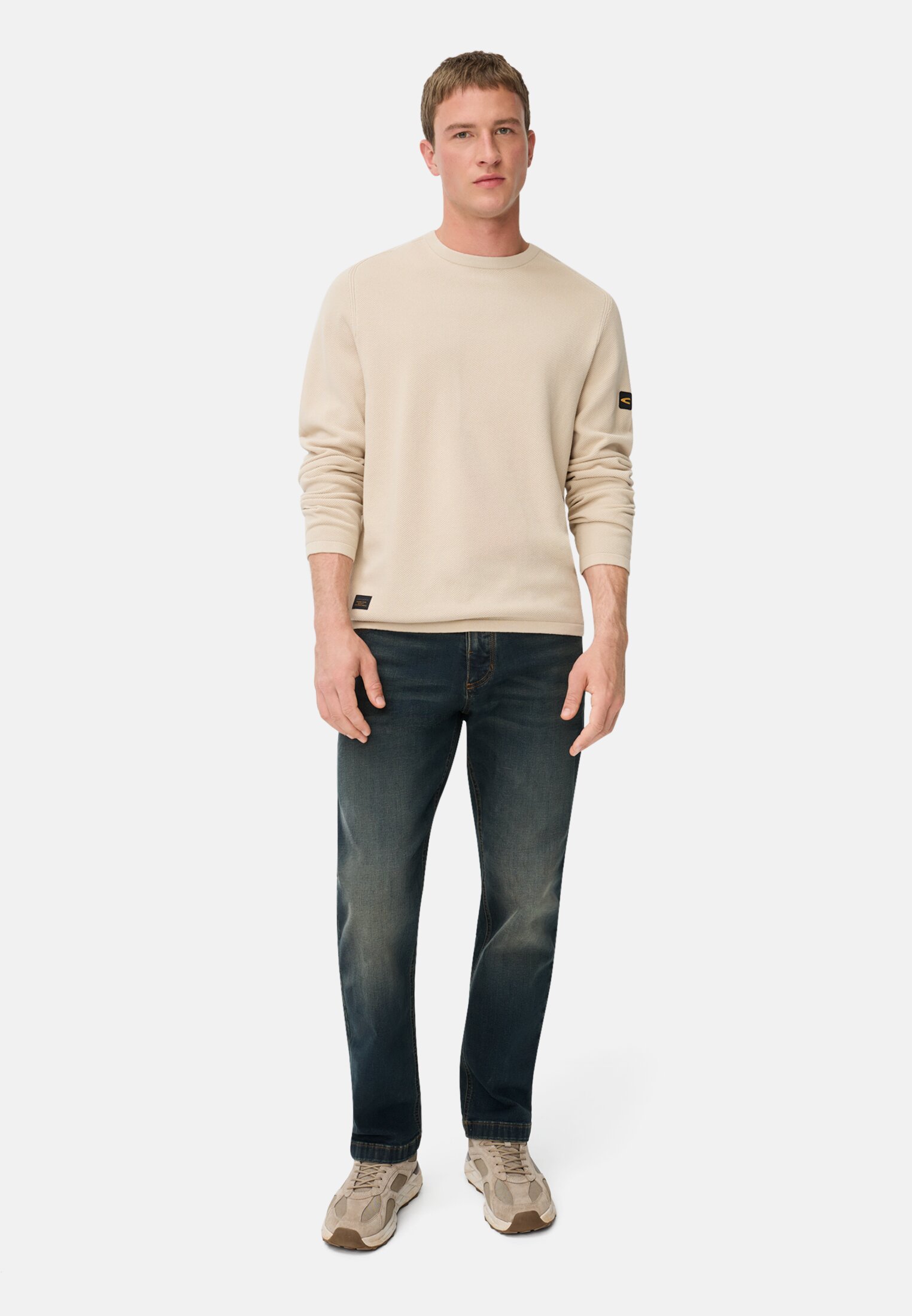 Men Pullover made of cotton Oats worn front full body