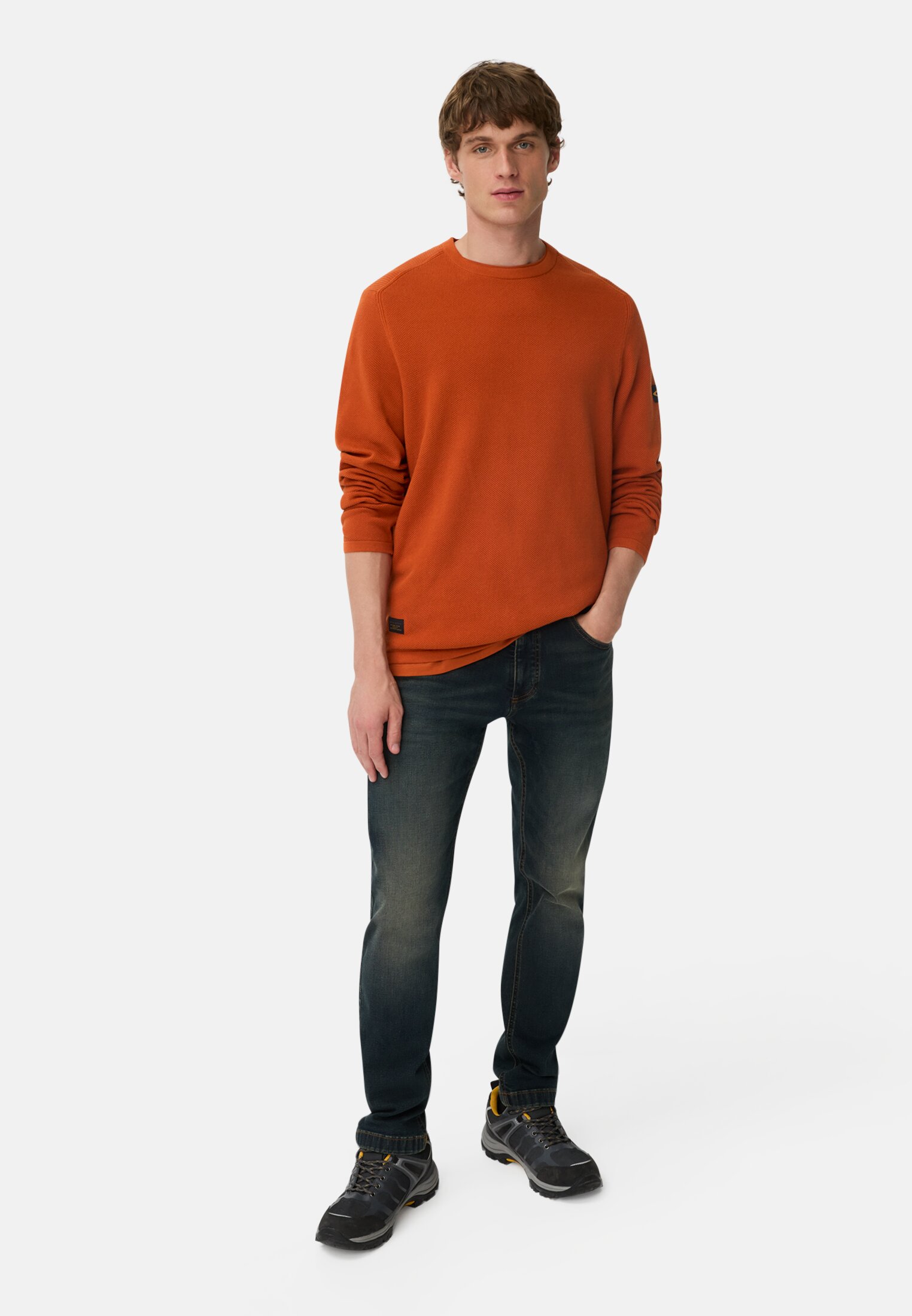 Herren Pullover aus reiner Baumwolle Zimt getragen vorne Ganzkörper