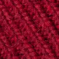 Rot