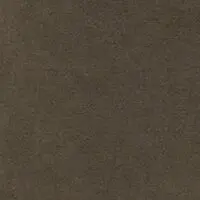 Oliv