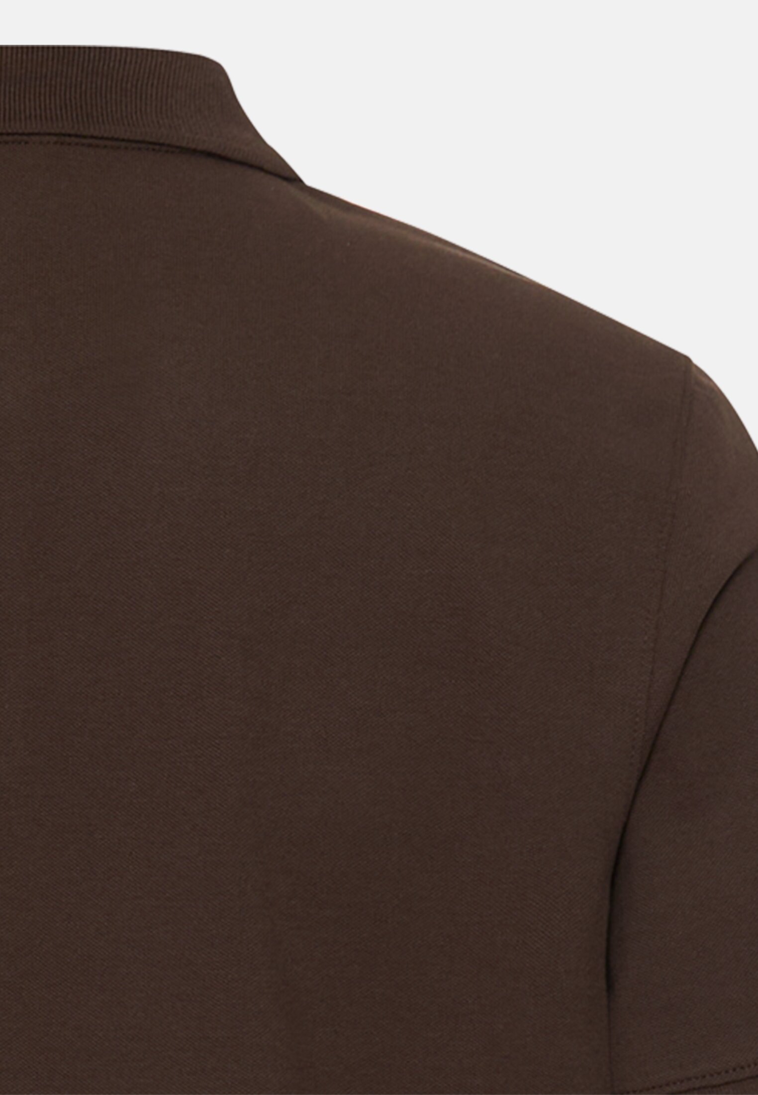 Men Polo shirt with contrast details Earth Brown close back