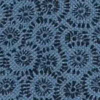 Blau