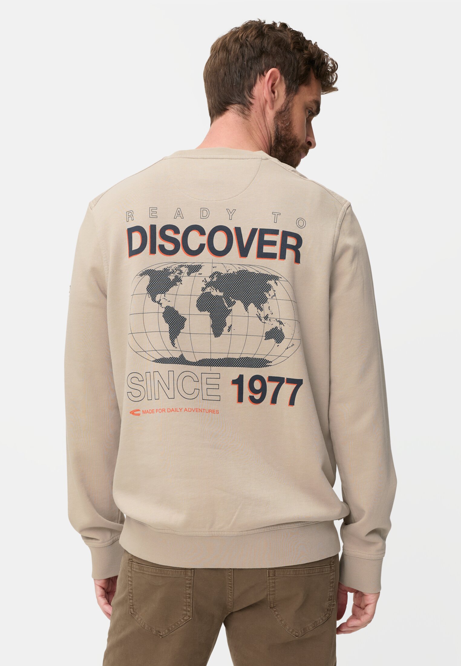 Herren Pullover aus reiner Baumwolle Beige getragen hinten