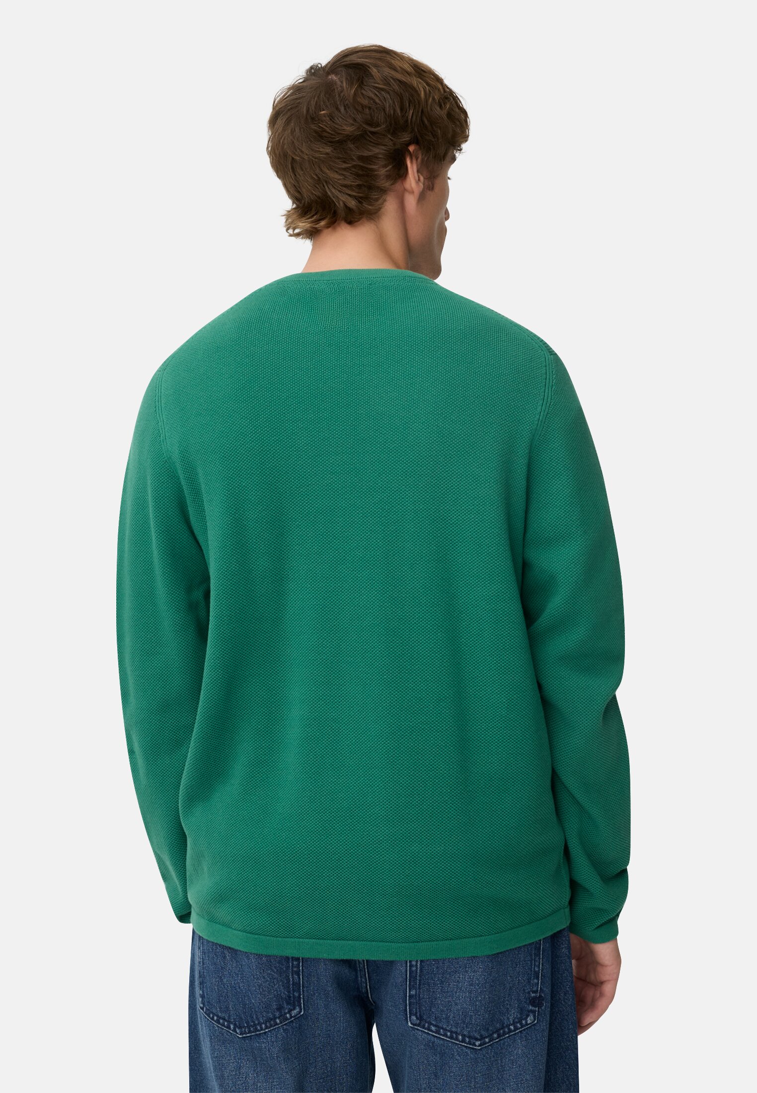 Herren Pullover aus reiner Baumwolle Tannengrün getragen hinten