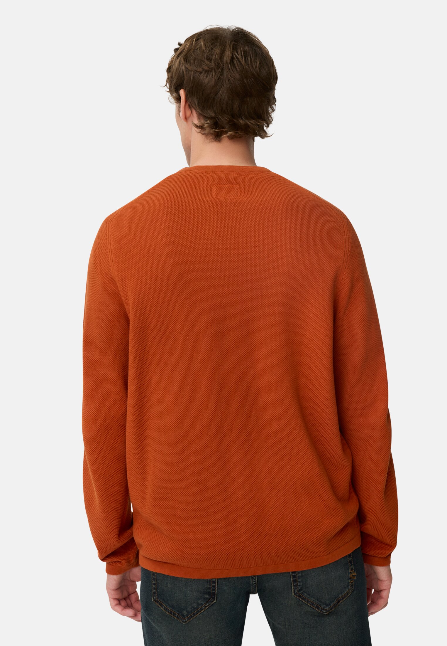 Herren Pullover aus reiner Baumwolle Zimt getragen hinten
