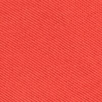 Rot