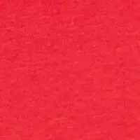Rot
