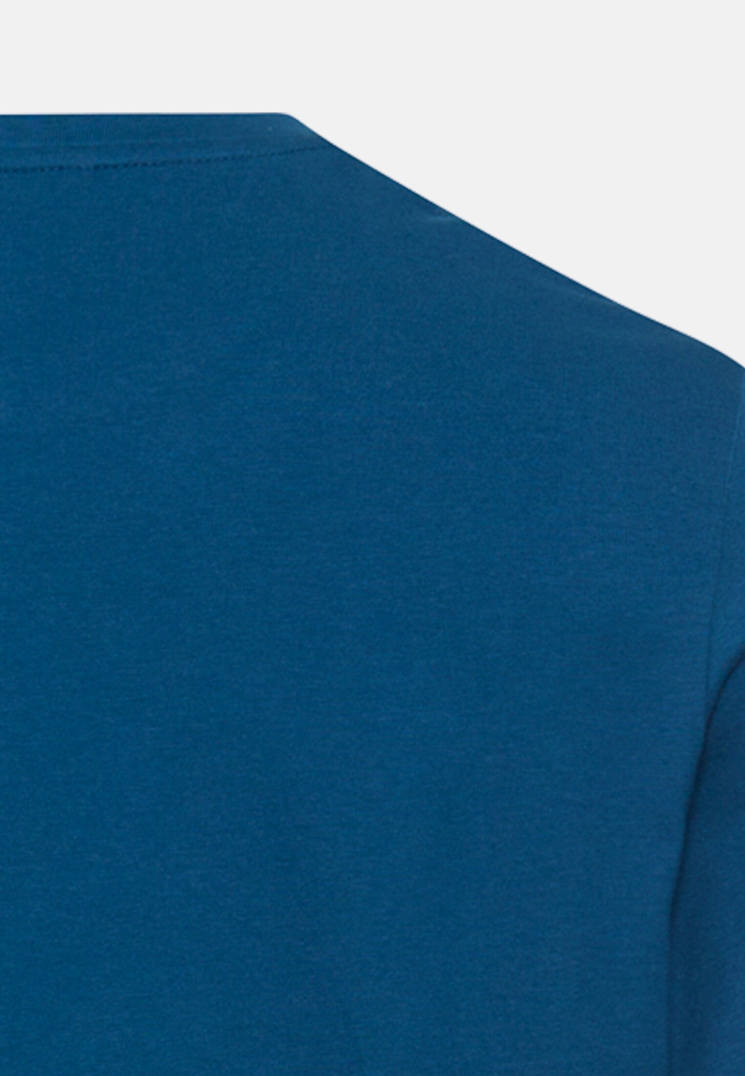 Men T-shirt with print Lyons Blue close back