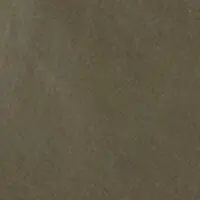 Oliv