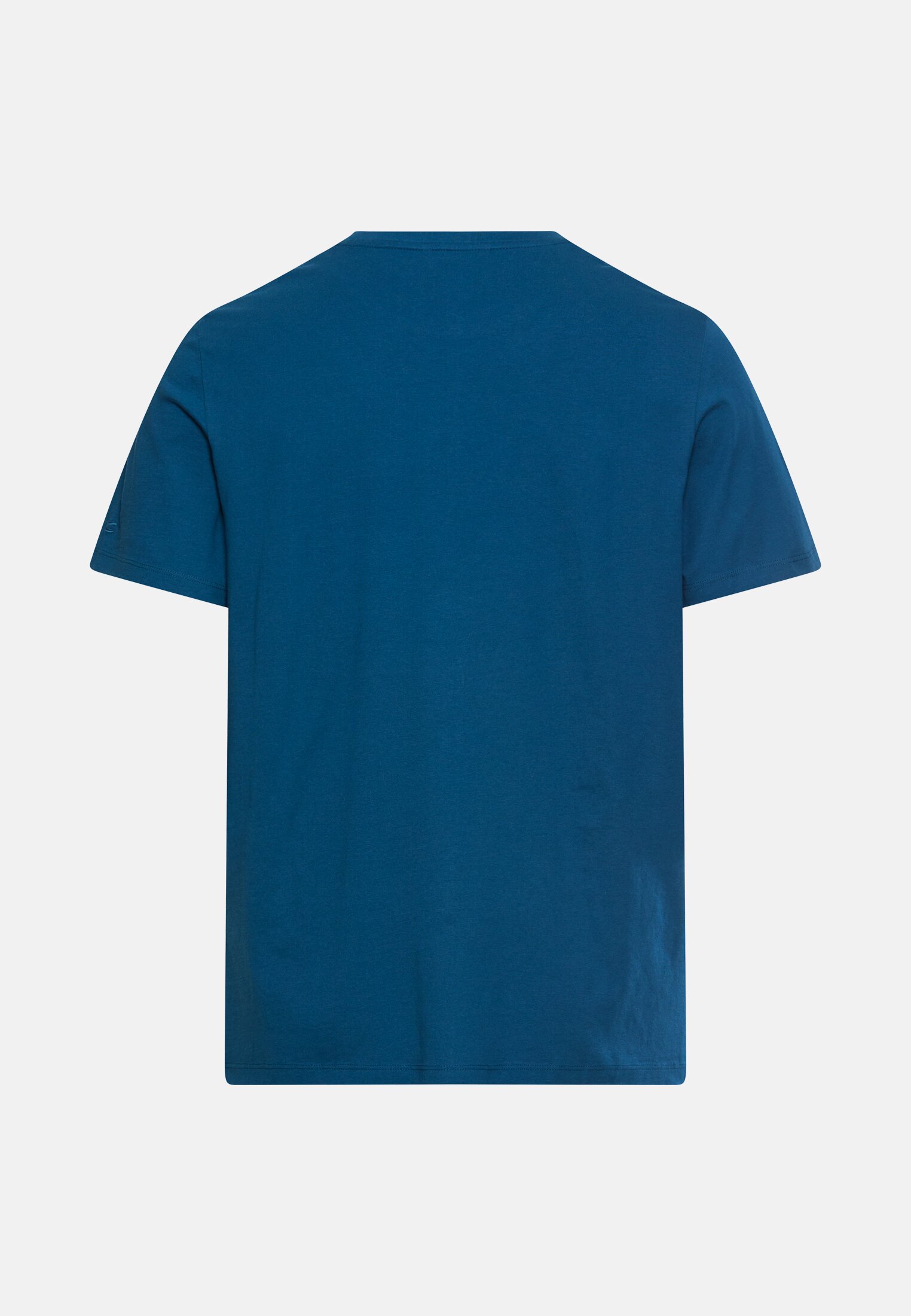 Men T-shirt with print Lyons Blue frontal back