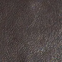 Braun
