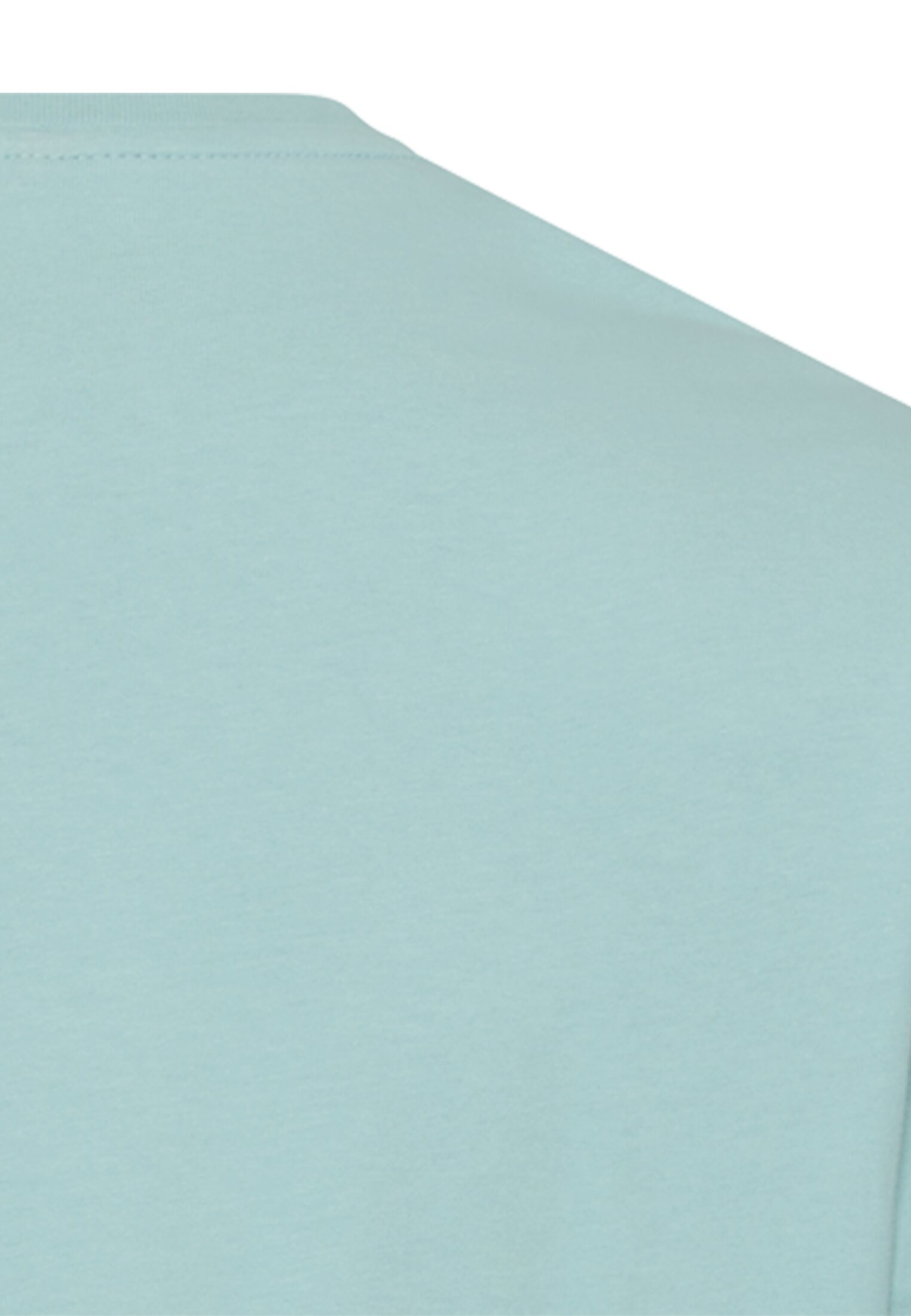 Men T-shirt with print Ocean Green close back