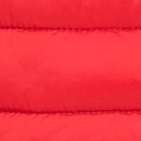 Rot