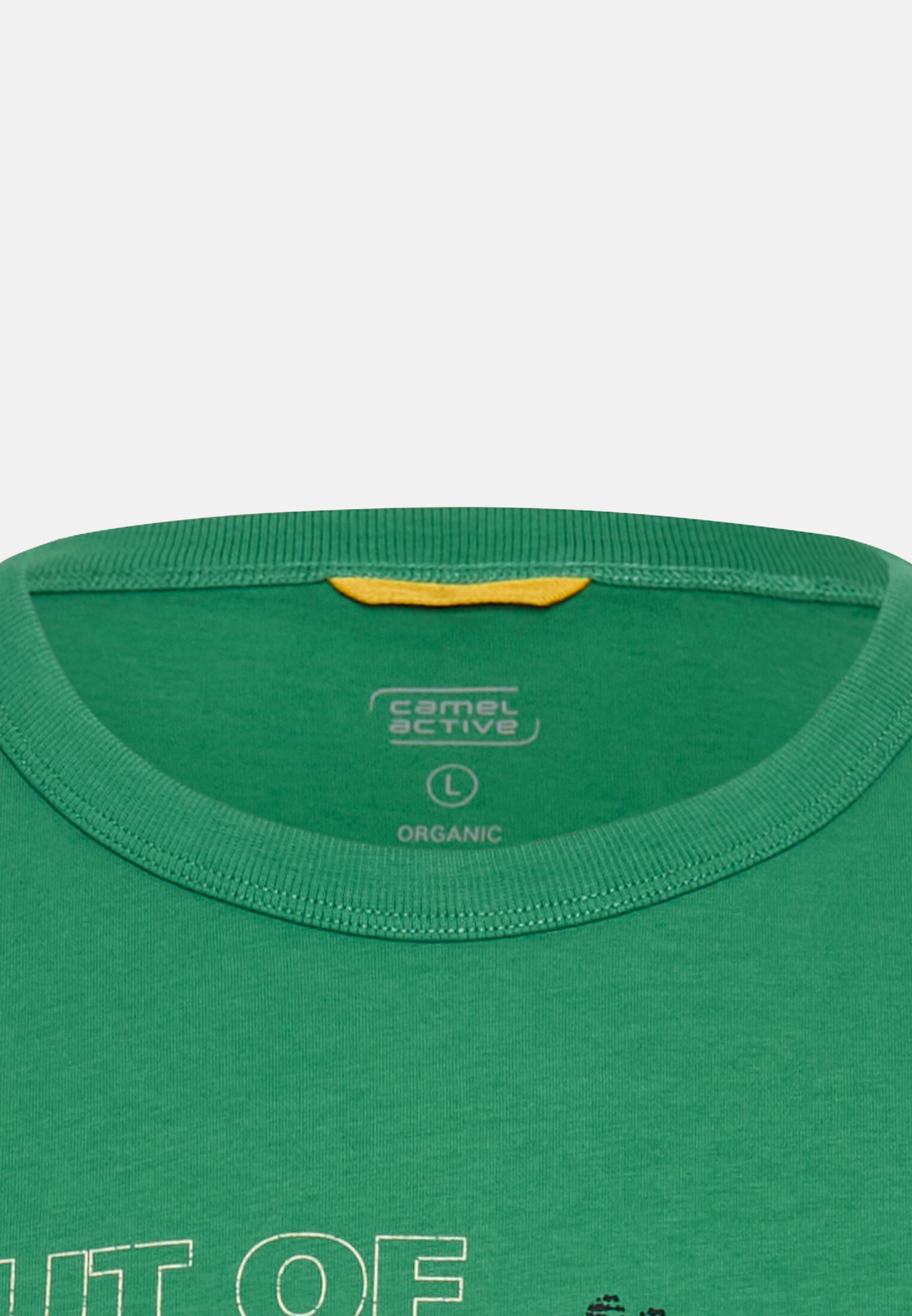 Herren T-Shirt aus reiner Baumwolle mit Rundhalsausschnitt Tannengrün vorne nah