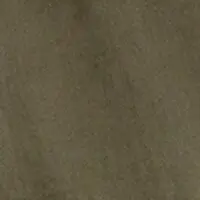 Oliv