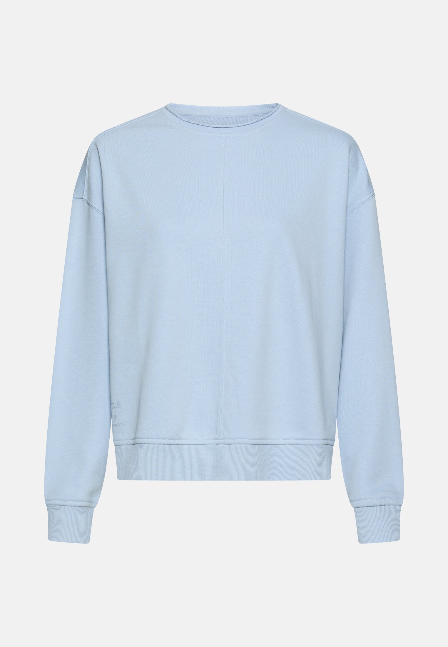Damen Sweatshirt aus Baumwollgemisch Hellblau frontal vorn