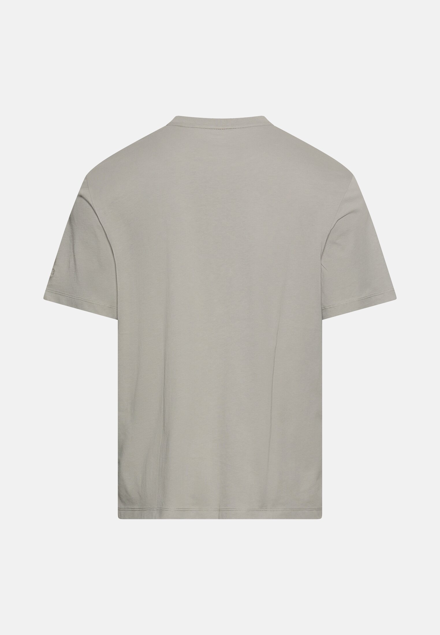 Herren T-Shirt mit Logoprint aus organic Cotton Grau frontal hinten