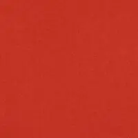 Rot