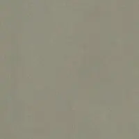 Oliv