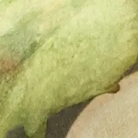 Grün