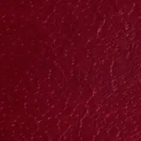 Rot
