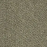 Olijf